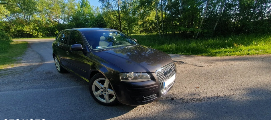 Audi A3 cena 21500 przebieg: 235000, rok produkcji 2006 z Połaniec małe 121